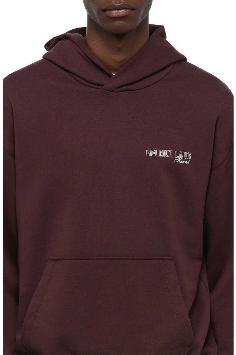 Skier Cotton Hoodie, Alternate, color, MAHOGANY