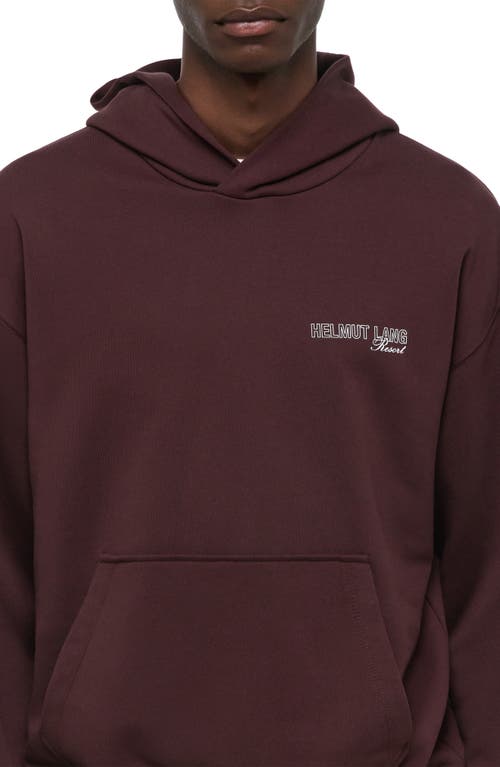 Helmut Lang Relaxed Fit Graphic Ski Hoodie In Burgundy
