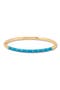  Gold/ Turquoise