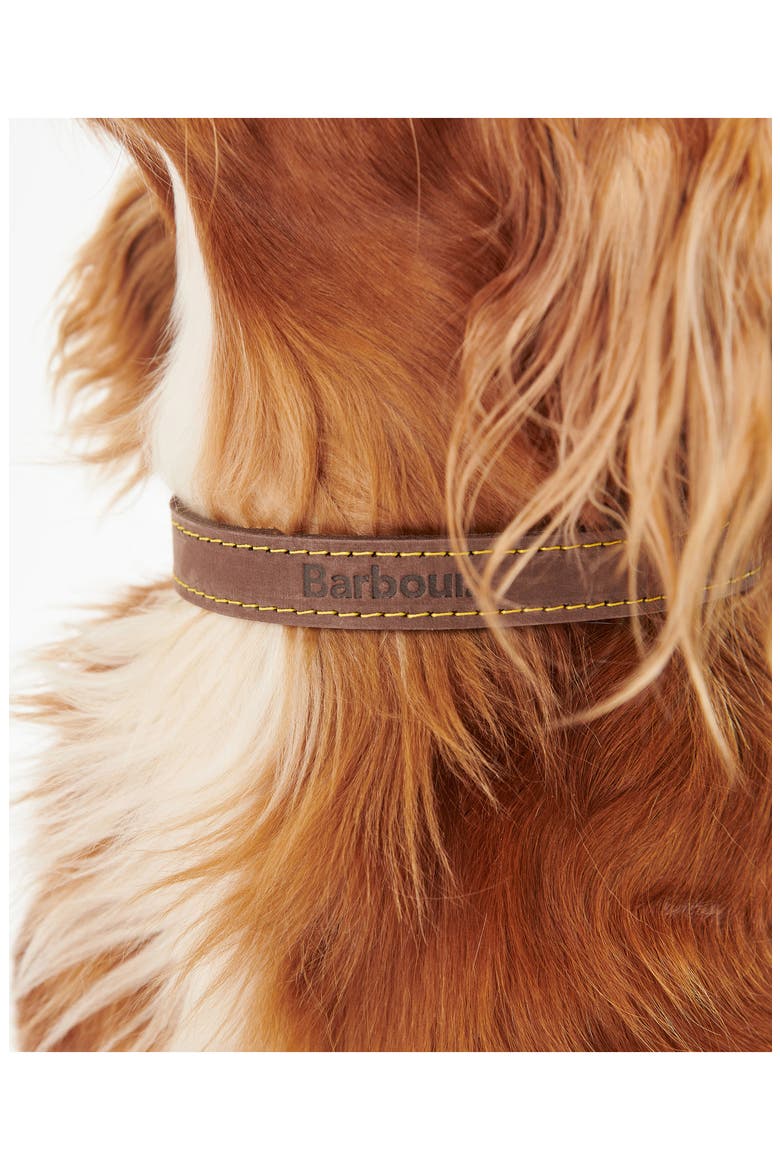 Leather Dog Collar, Alternate, color, BROWN