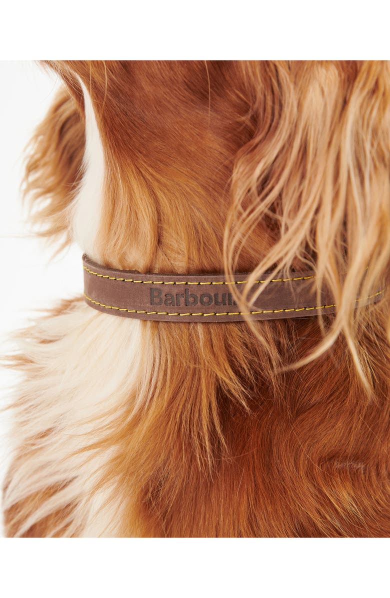 Barbour Leather Dog Collar, Alternate, color, Brown