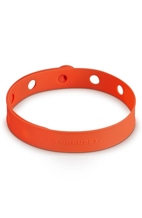 Silicone Travel Latch