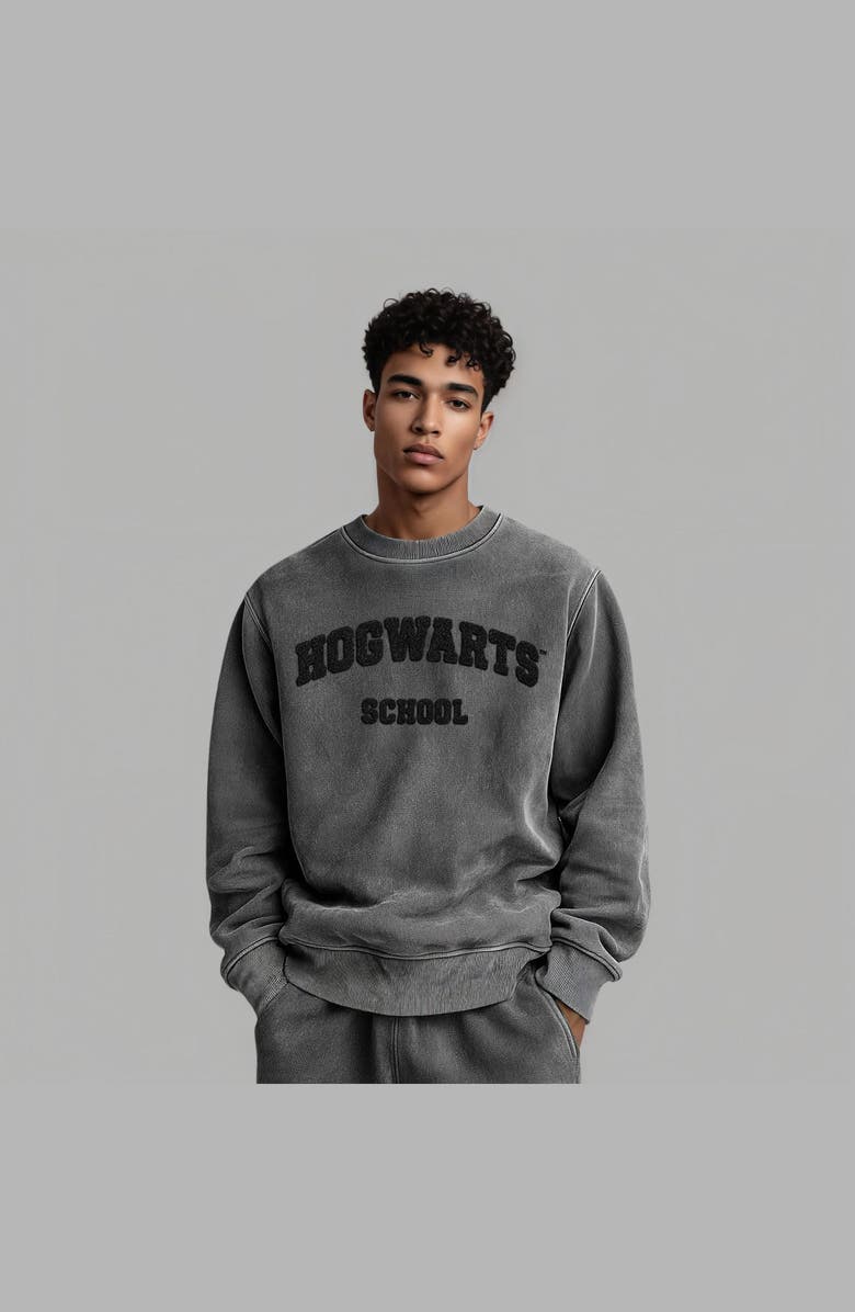 Blvck Harry Potter x Blvck 'Hogwarts' Sweater, Alternate, color, Charcoal