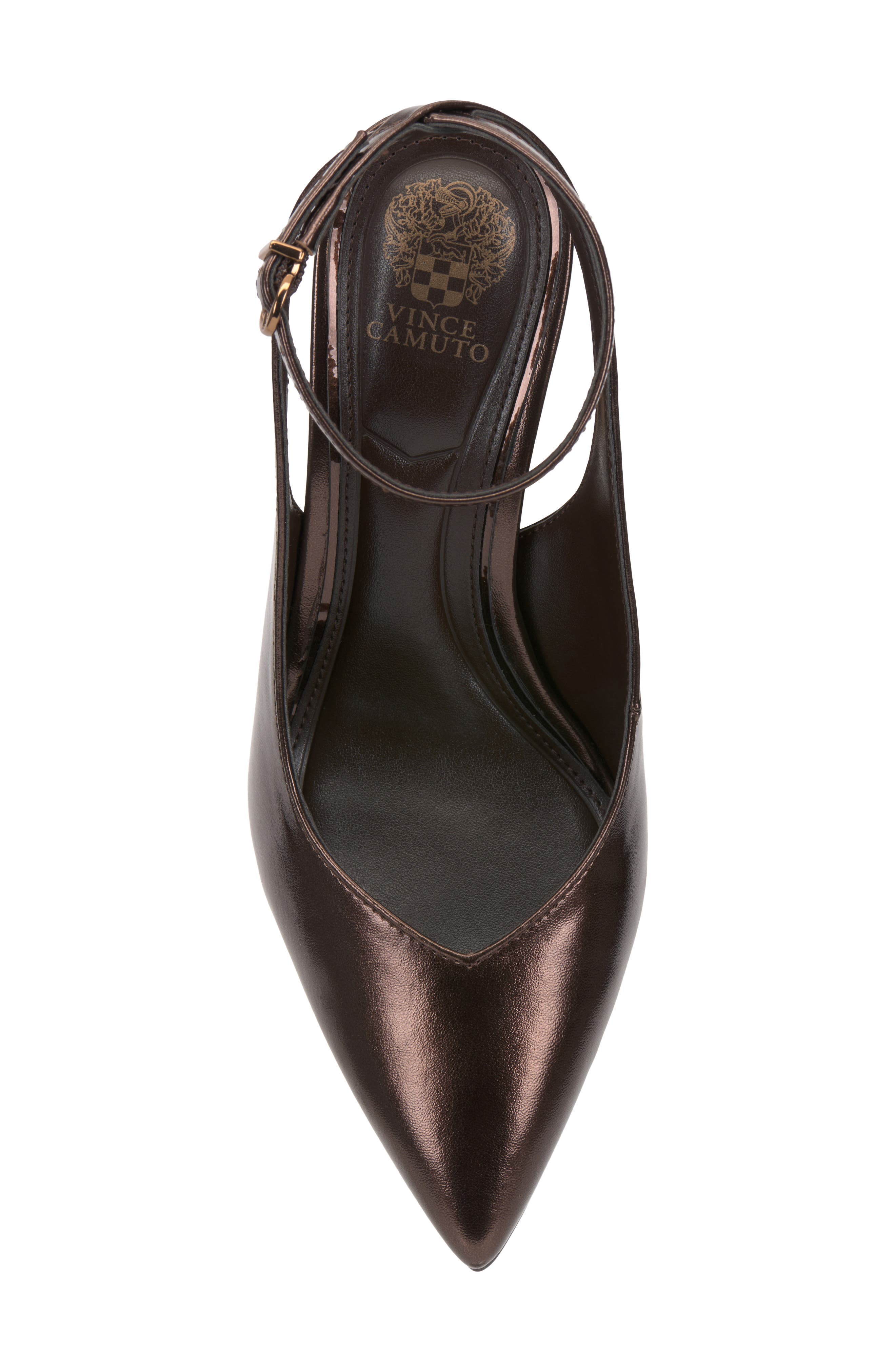 Nellah Pointed Toe Pump, Alternate, color, HAUTE CHOCOL