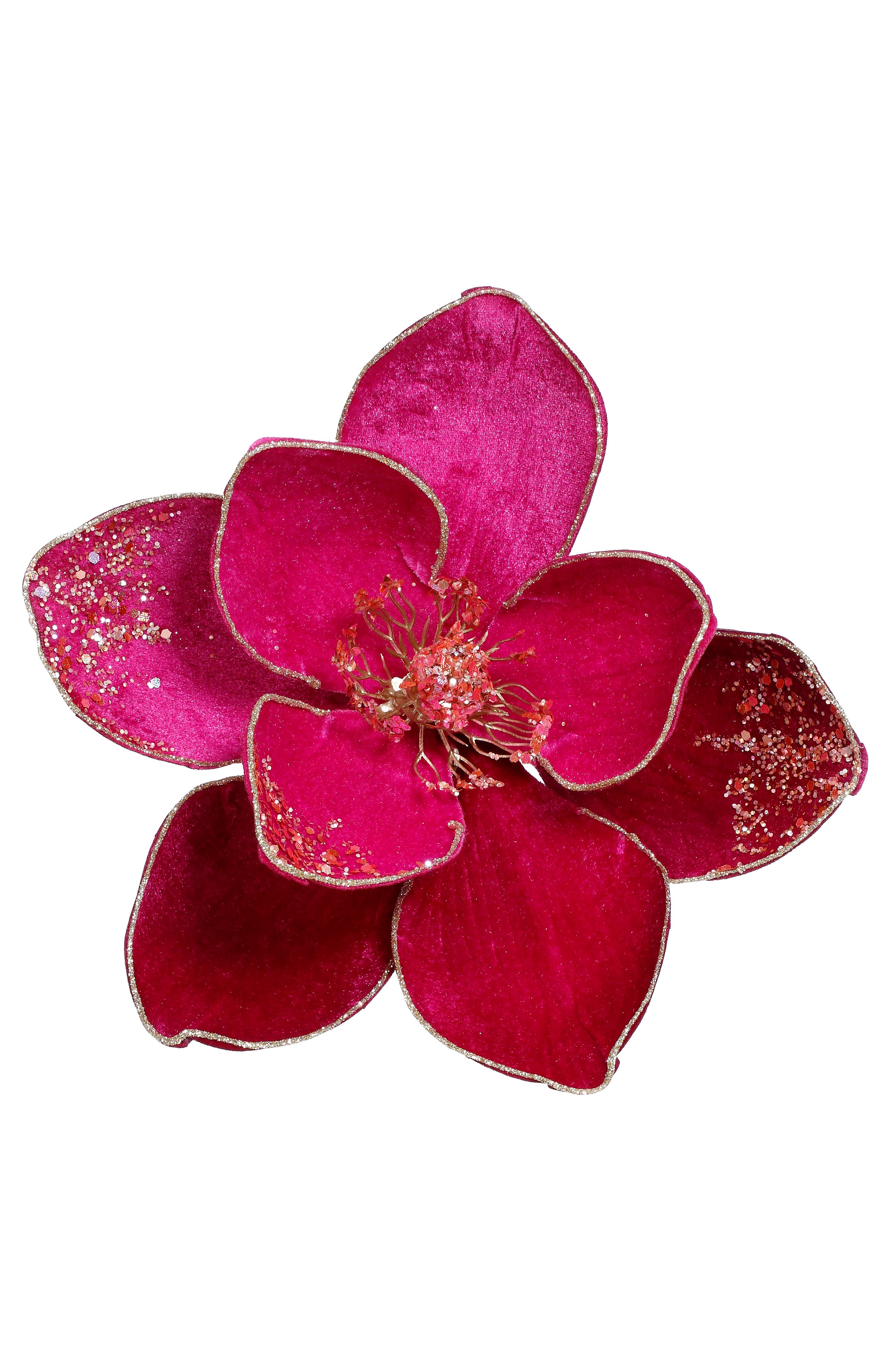 selected Fuschia
