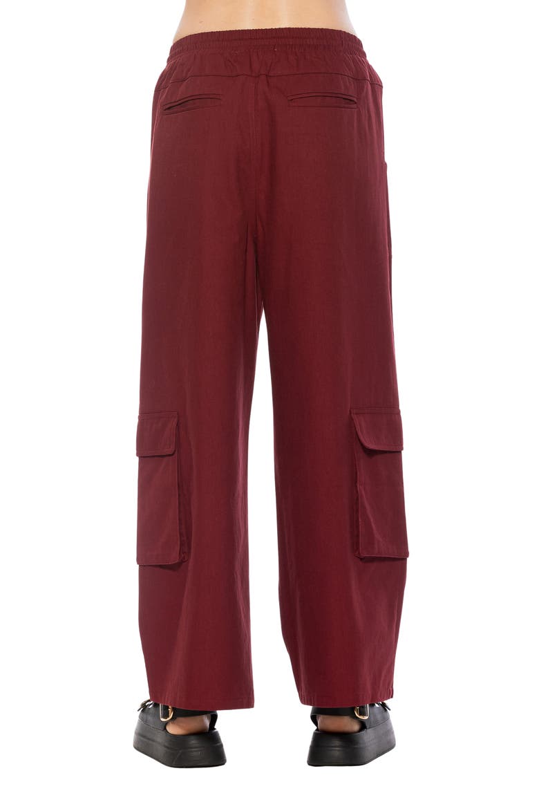 Evren Drawstring Waist Cargo Pants, Alternate, color, BURGUNDY