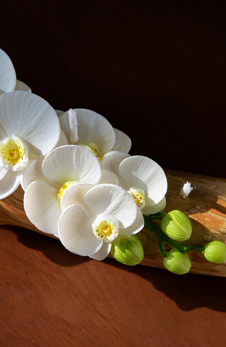 Southlake gifts Orchid Arrangement Candle, Alternate, color, White