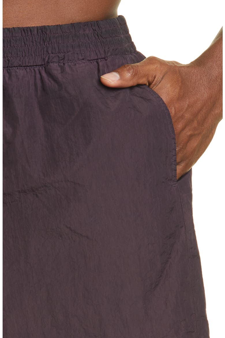 Garment Dyed Swim Trunks, Alternate, color, PURPLE