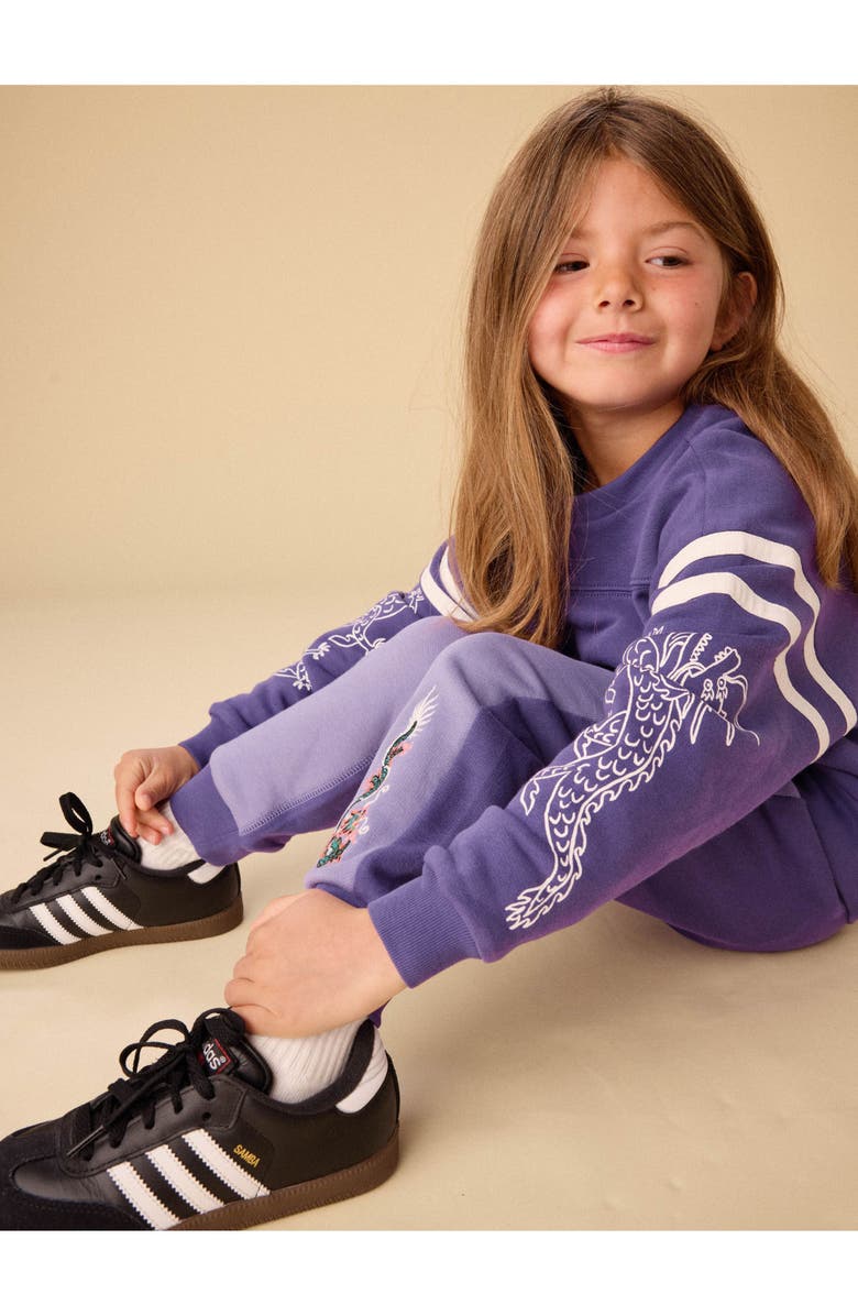 Tea Collection Sporty Dragon Sleeve Popover, Alternate, color, Ultraviolet