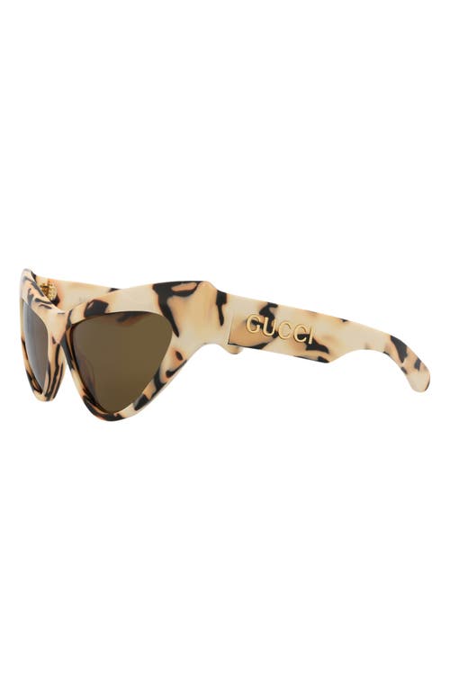 Gucci 57mm Cat Eye Sunglasses In Ivory Ivory Brown