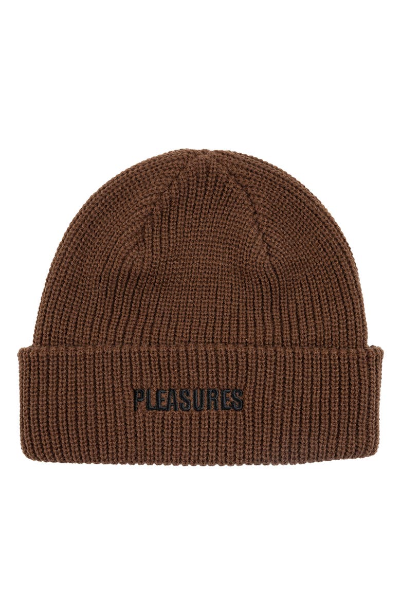 PLEASURES Everyday Logo Embroidered Beanie, Main, color, 