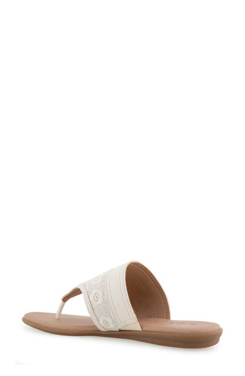 AEROSOLES AEROSOLES ILLIA POINTED TOE FLAT 