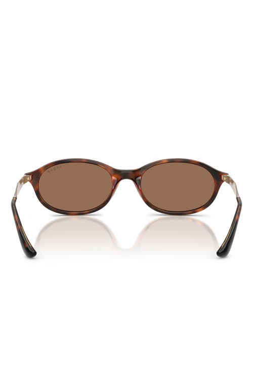 Vogue 52mm Oval Sunglasses In Dark Havana