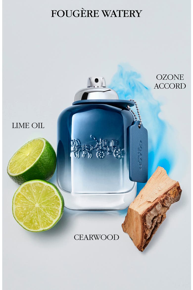 Blue Eau de Toilette, Alternate, color, NO COLOR