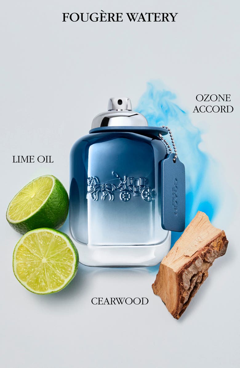 COACH Blue Eau de Toilette, Alternate, color,