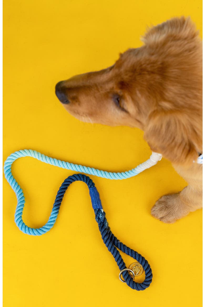Kennedy Rope Dog Leash, Alternate, color, Kennedy 4ft