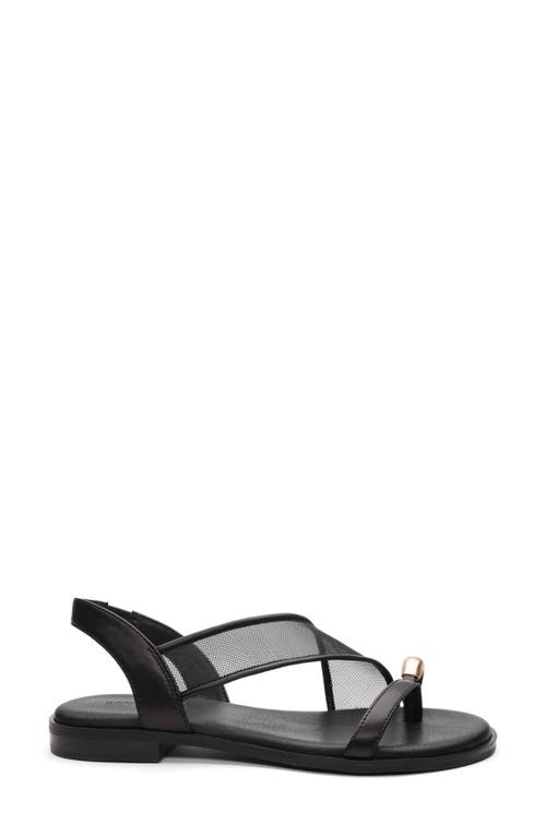 Sanctuary Suave 2.0 Slingback Sandal In Black