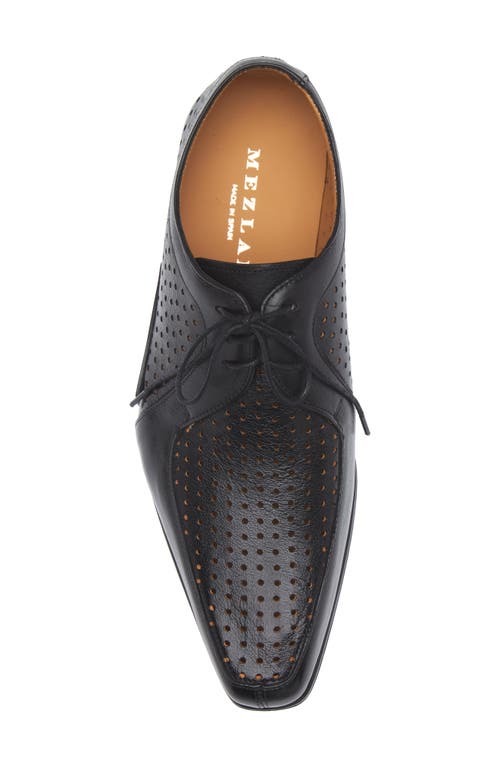 Mezlan Perforated Bike Toe Derby In Black