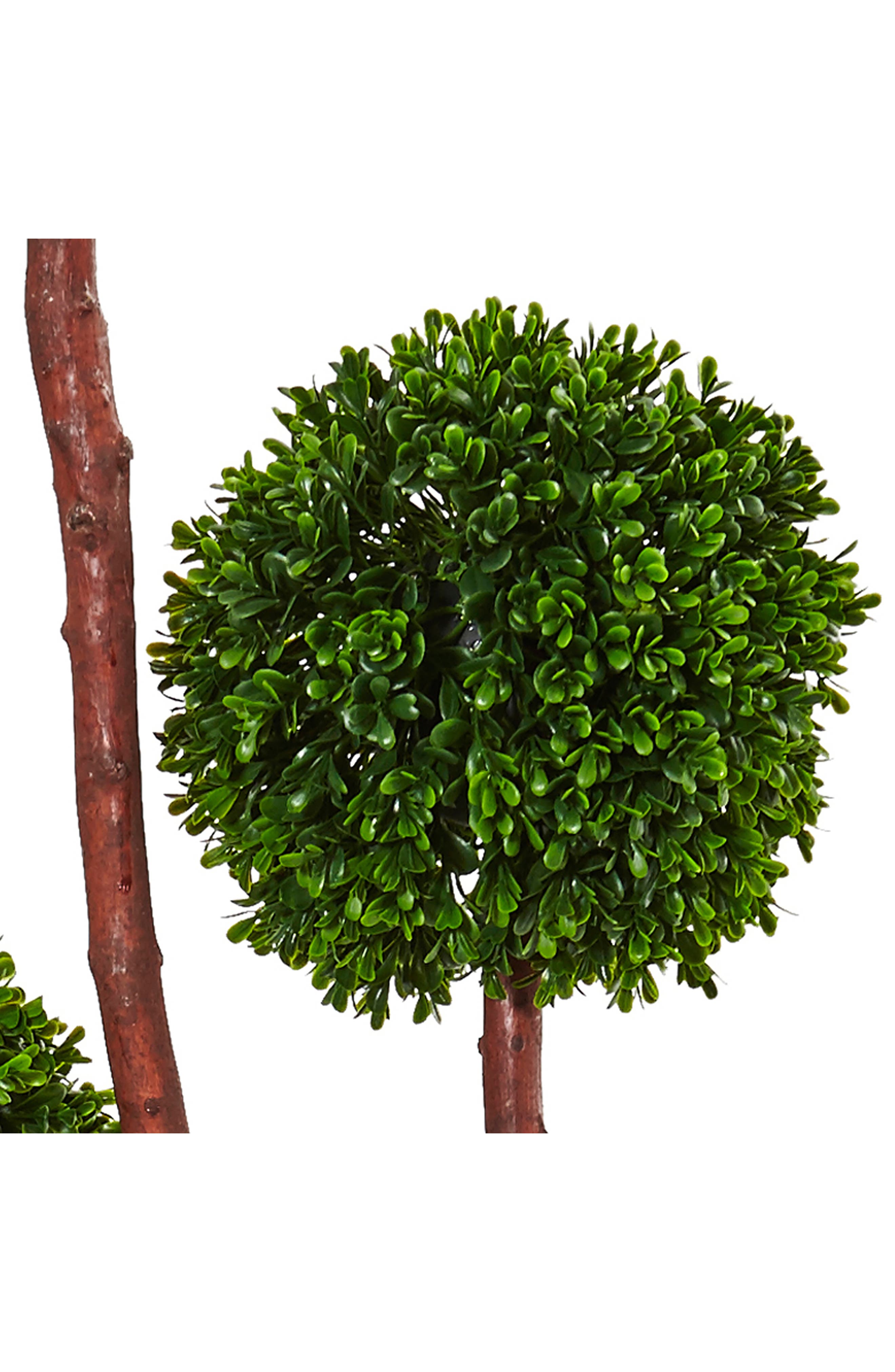 NEARLY NATURAL 5' Artificial Boxwood Topiary Tree | Nordstromrack