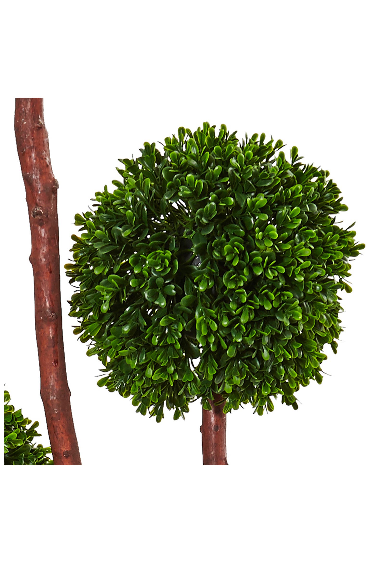 Triangular Boxwood NEARLY NATURAL 5' Artificial Boxwood Topiary Tree | Nordstromrack