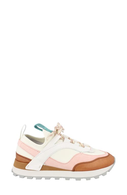 Ferragamo Indy Low-top Sneakers In Multi