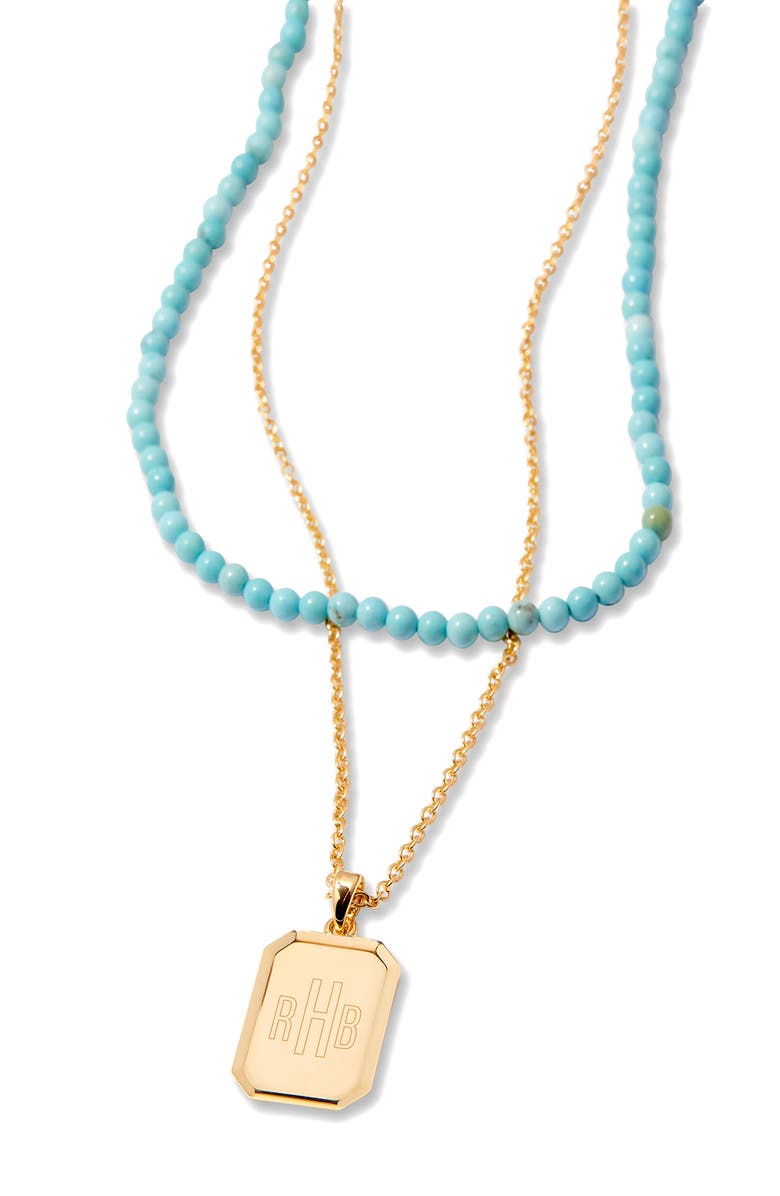 Brook and York Willow Turquoise Layering Set of 2 Necklaces, Alternate, color, 
