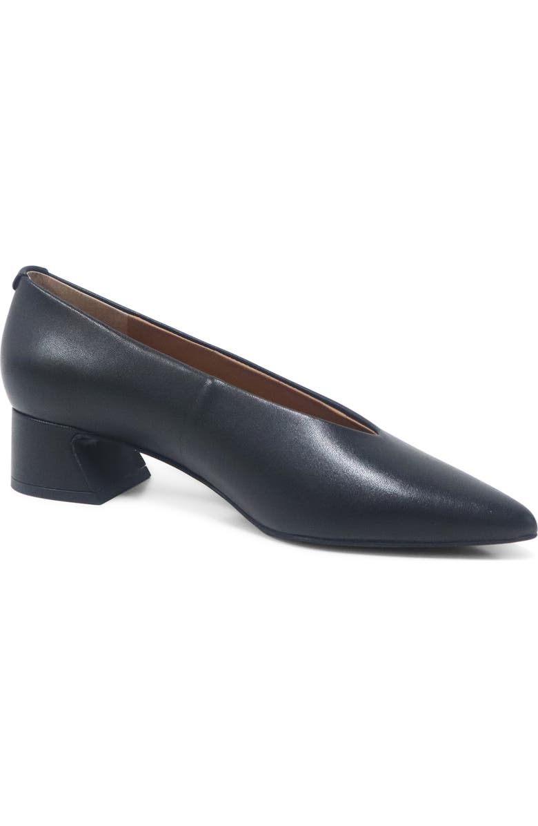 Gentle Souls Galleria Pointed Toe Pump, Alternate, color, Black Leather