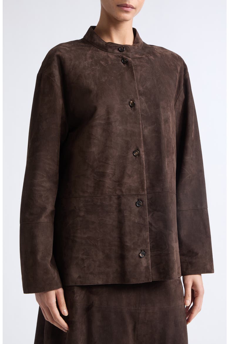 Danzante Suede Jacket, Alternate, color, BROWN