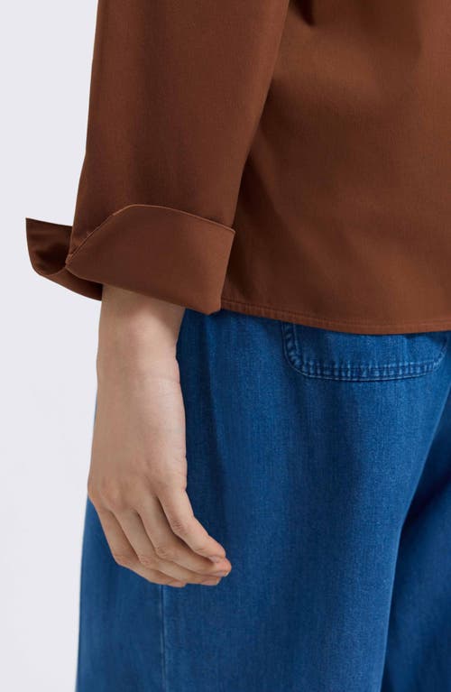 Foxcroft Tammy Ruffle Collar Cotton Blend Top In Brown