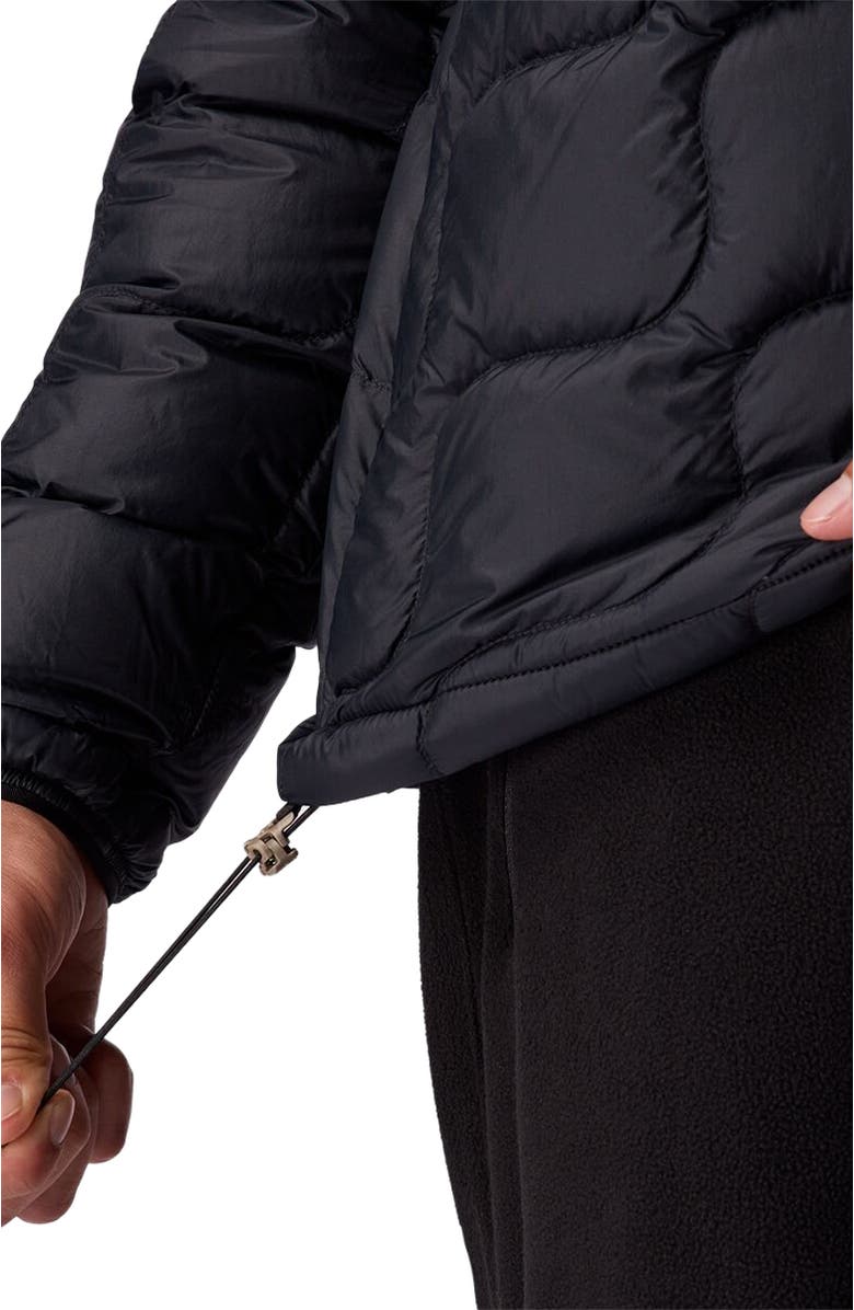 Backcountry Waas Allied Down Hooded Jacket - Men's, Alternate, color, Black