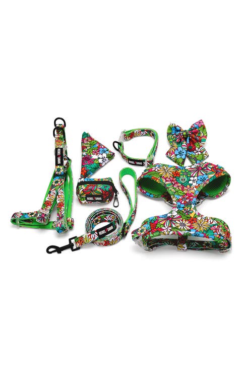7-Piece Dog Walking Set