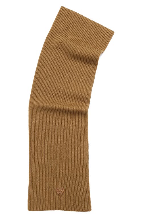 Allsaints Heart Logo Scarf In Brown