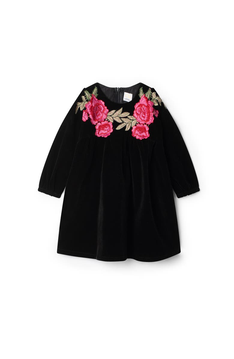 Clô Velour Floral A-Line Dress, Main, color, Black