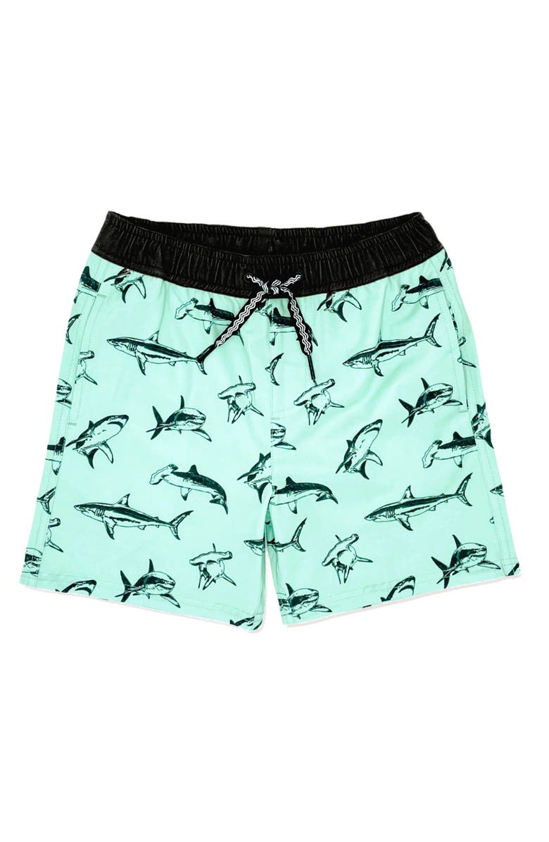 Feather 4 Arrow Kids' Sea King Swim Trunks, Main, color, 