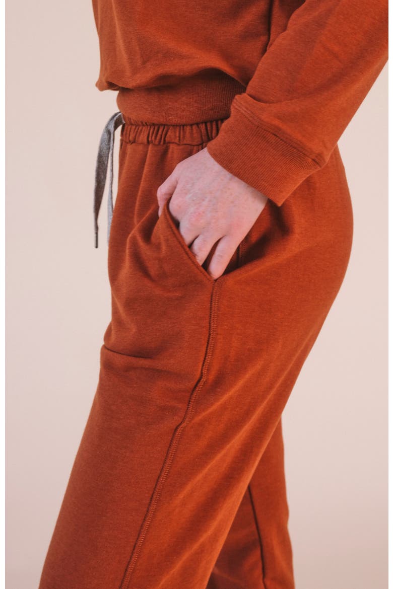 Plus Agnes Organic Cotton + Tencel Jogger Pant, Alternate, color, Rust