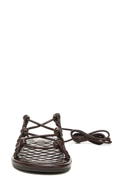 Sam Edelman Zariah Sandal In Dark Chocolate