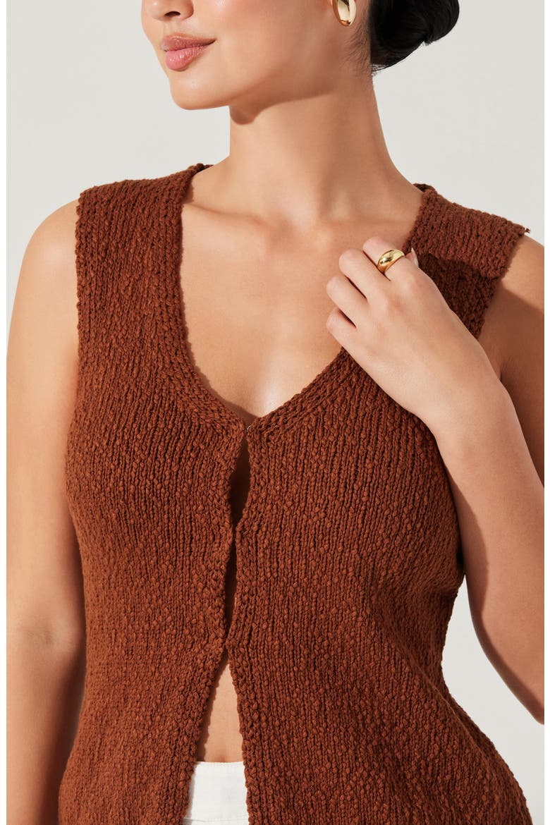 Taimi Sweater Vest, Alternate, color, BROWN