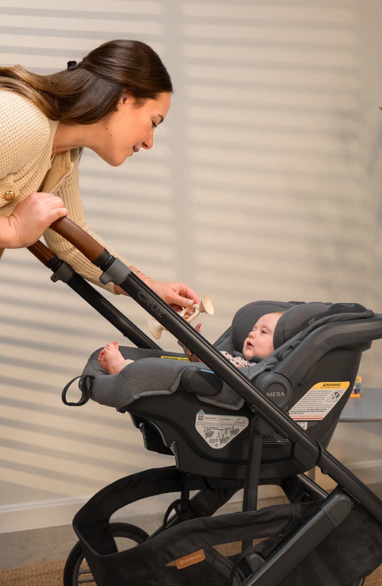 UPPAbaby Cruz V3 Stroller & Mesa V3 Infant Car Seat Travel System, Alternate, color, Savannah