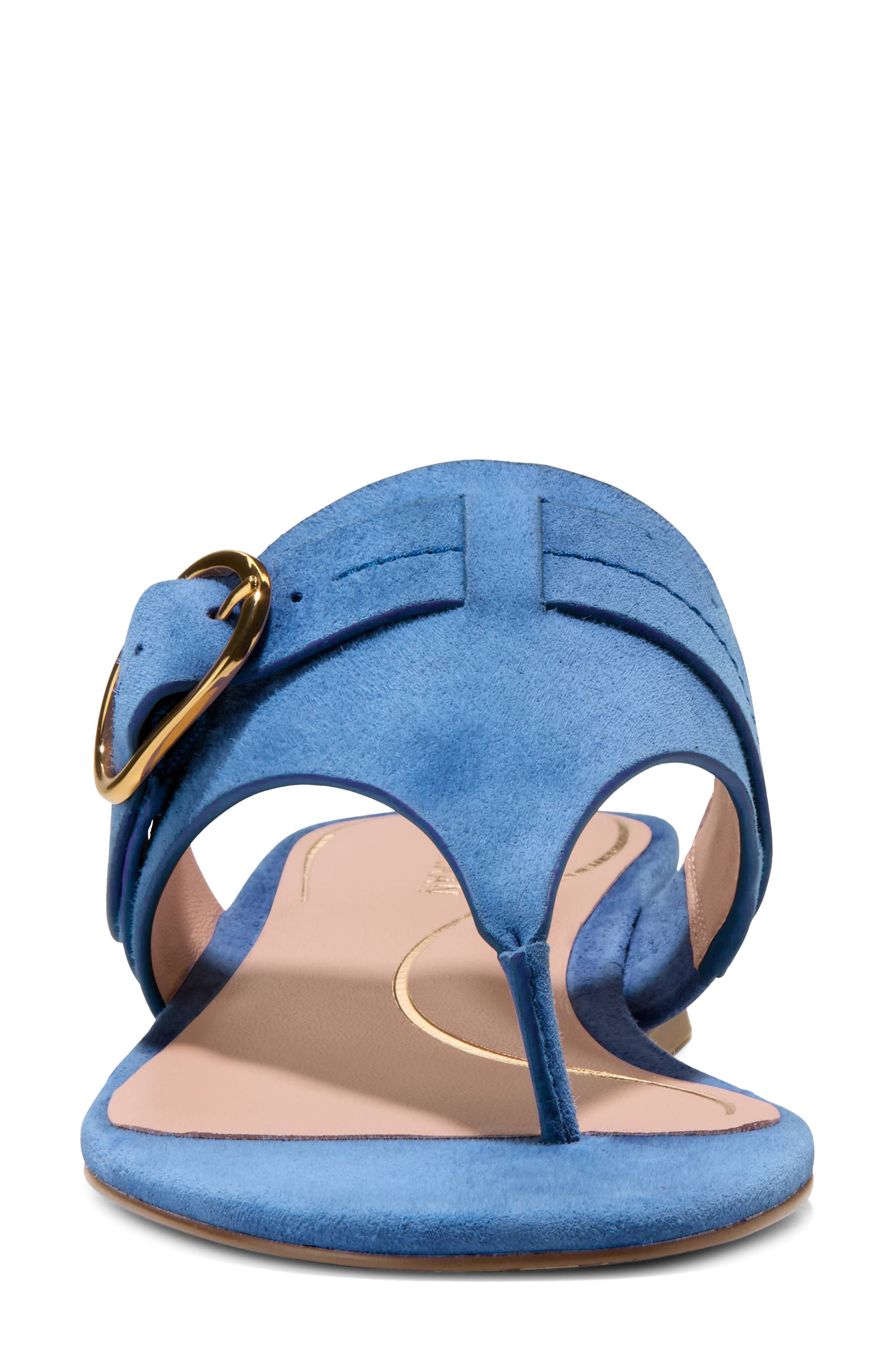 Cole Haan Gayle Flip Flop, Alternate, color, Dutch Blue Suede