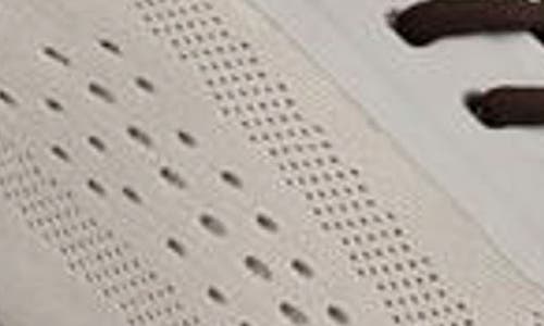 Ecco Biom 2.0 Knit Sneaker In Gray