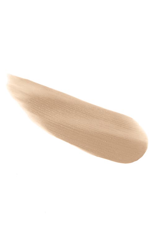 Dolce & Gabbana Dolce&gabbana Everlast Concealer