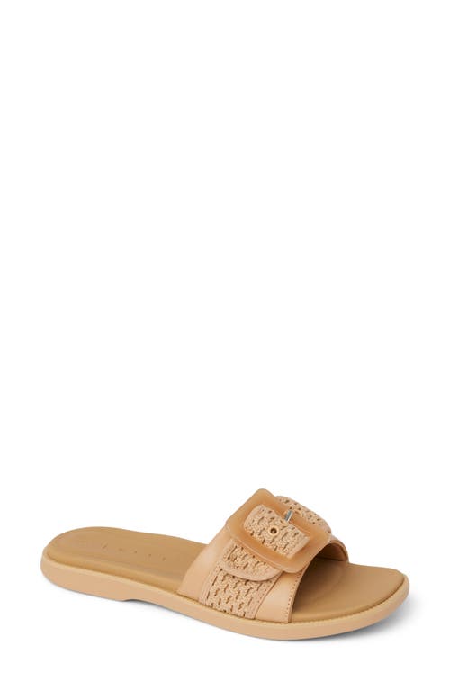 Reef Sunny Emma Buckle Slide Sandal In Brown