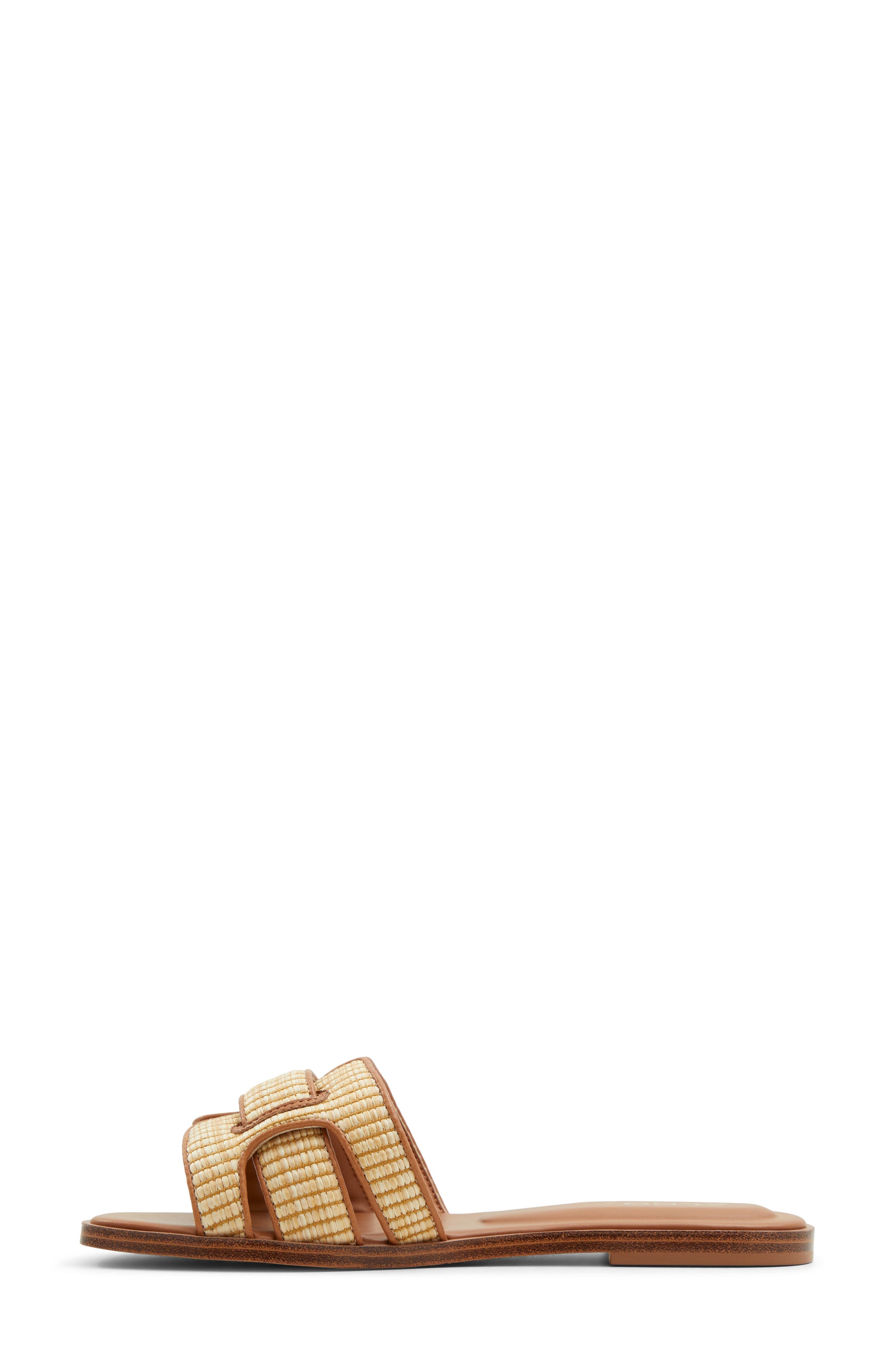 ALDO Elenaa Slide Sandal, Alternate, color, 