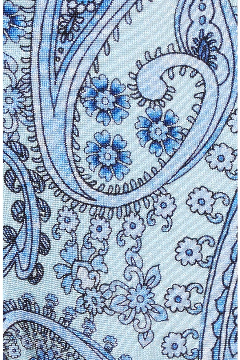 Haven Shine Bikini Bottoms, Alternate, color, BLUE PAISLEY