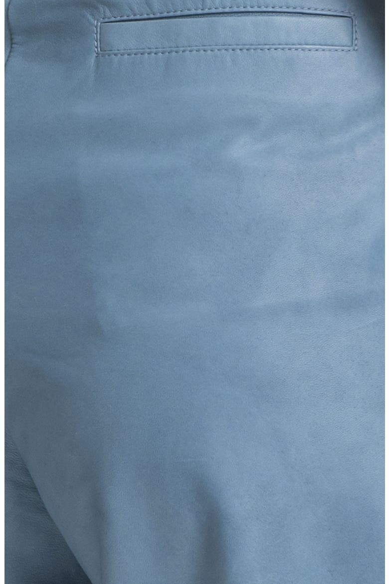 Cuffed Baggy Leather Pants, Alternate, color, PERI BLUE