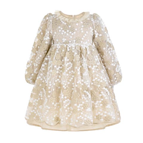 Embroidered Mesh Party Dress