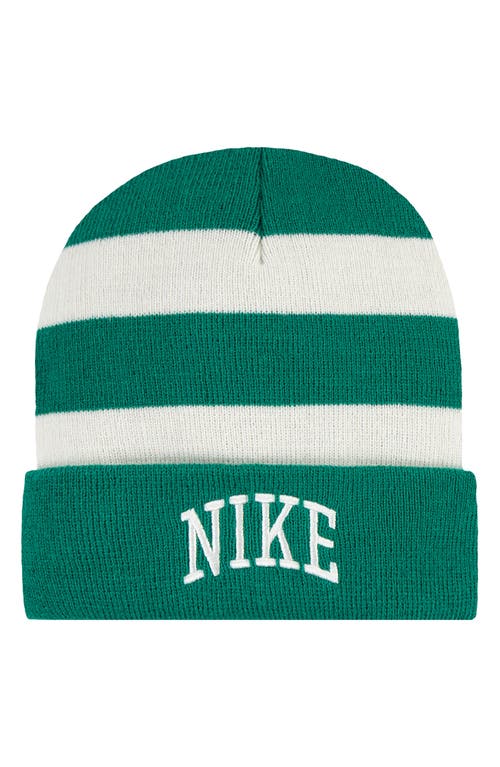 Nike Chunky Stripe Peak Beanie In Green