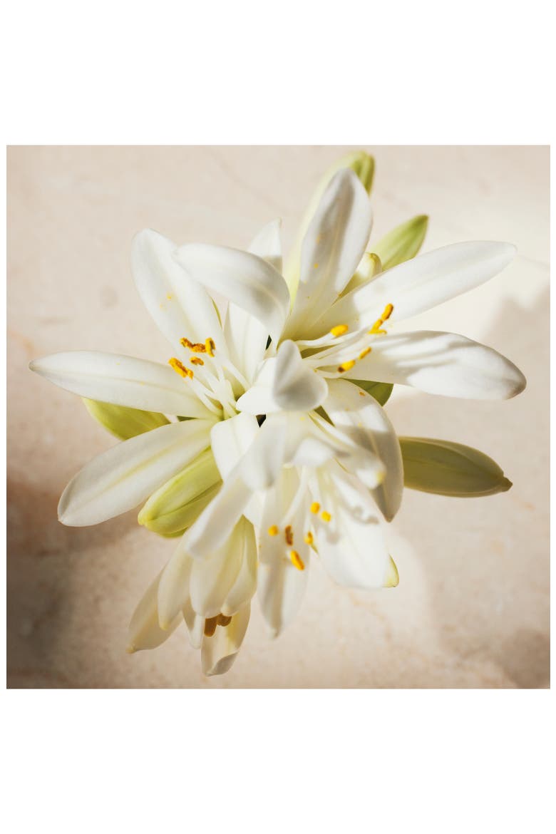 Atelier des Fleurs Tuberosa 1974 Eau de Parfum, Alternate, color, NO COLOR