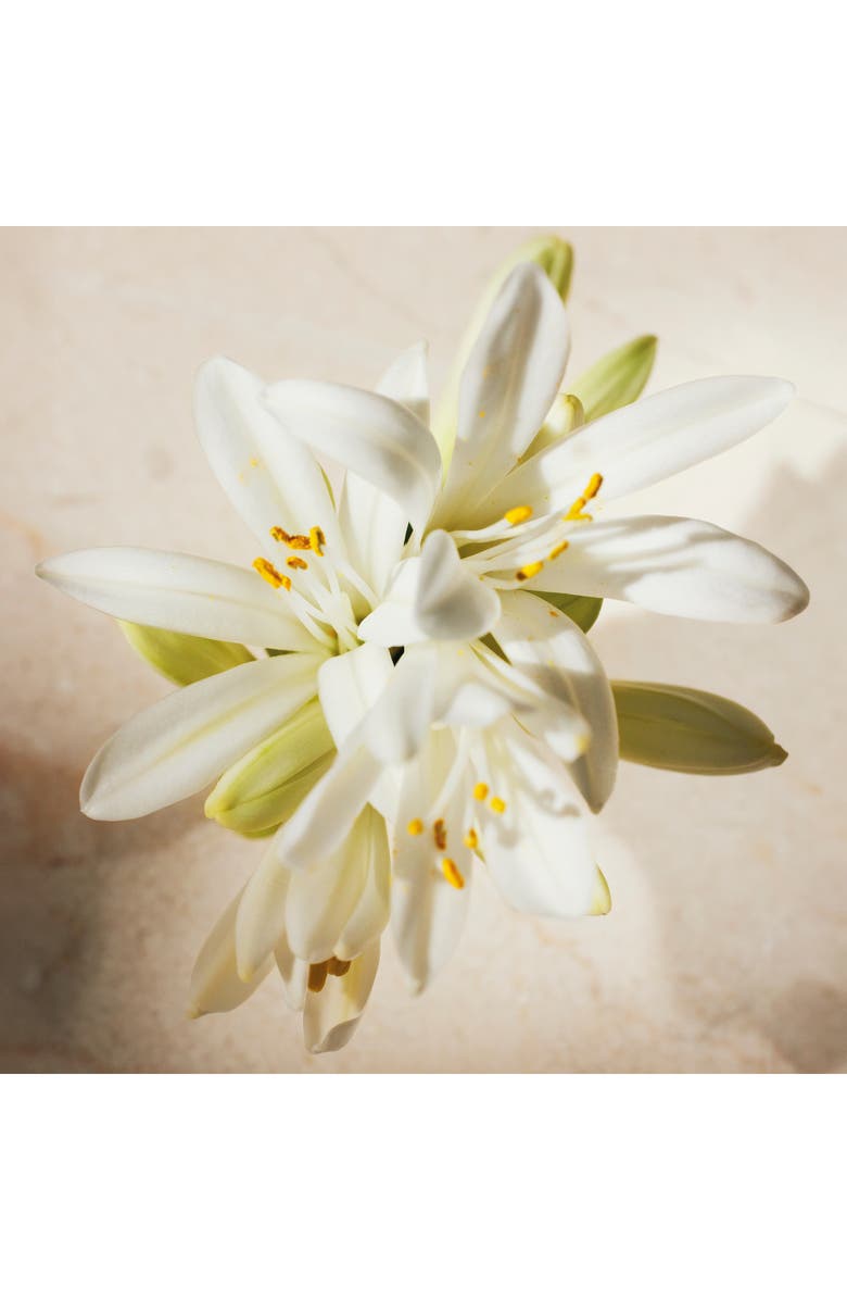 Chloé Atelier des Fleurs Tuberosa 1974 Eau de Parfum, Alternate, color, 