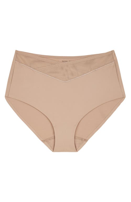 TRIUMPH True Shape Sensation Shaping Briefs in Smooth Skin at Nordstrom, Size Large